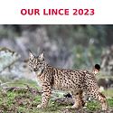 jtsec - Our LINCE 2023